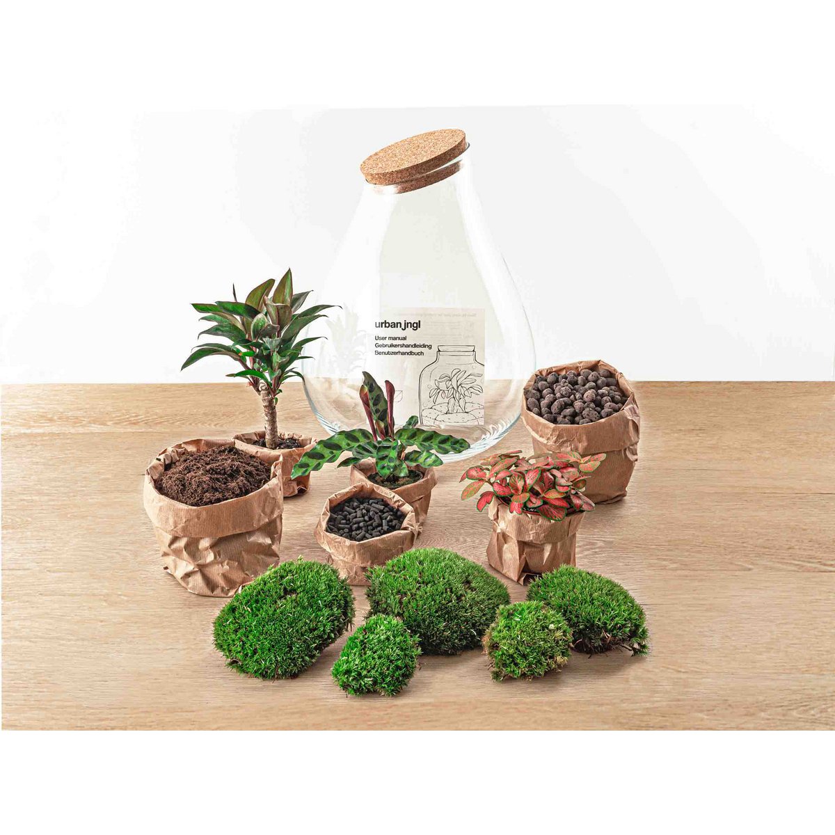 Terrarium-Bausatz – Drop XL Palme – Flaschengarten – ↑ 37 cm