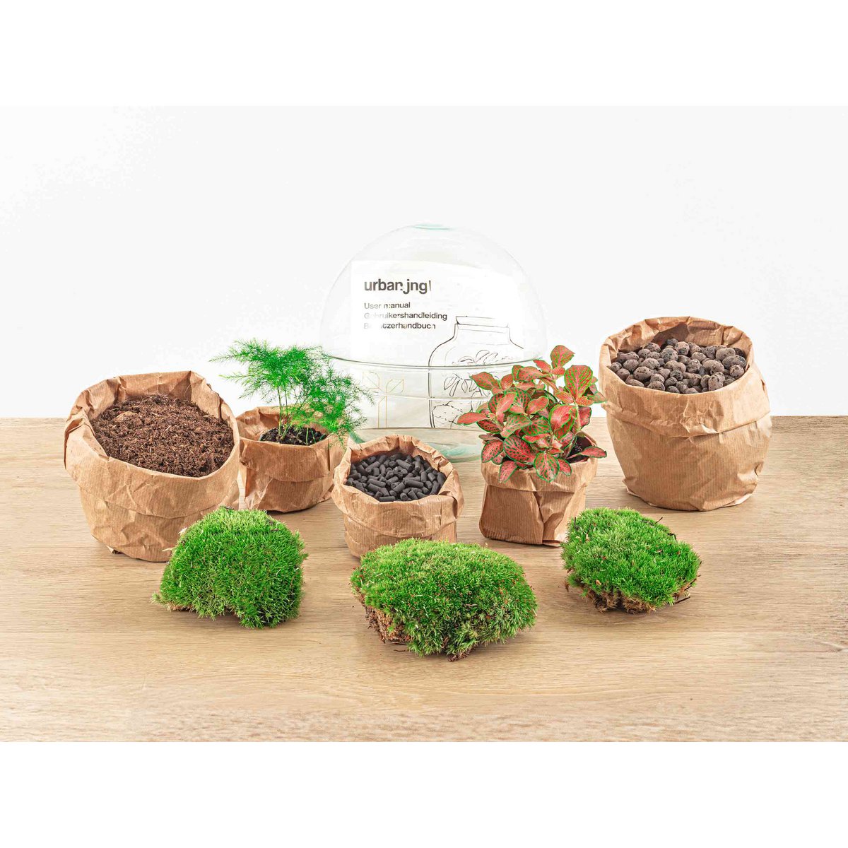 Terrarium-Bausatz – Kuppel Rot – Flaschengarten – ↑ 20 cm