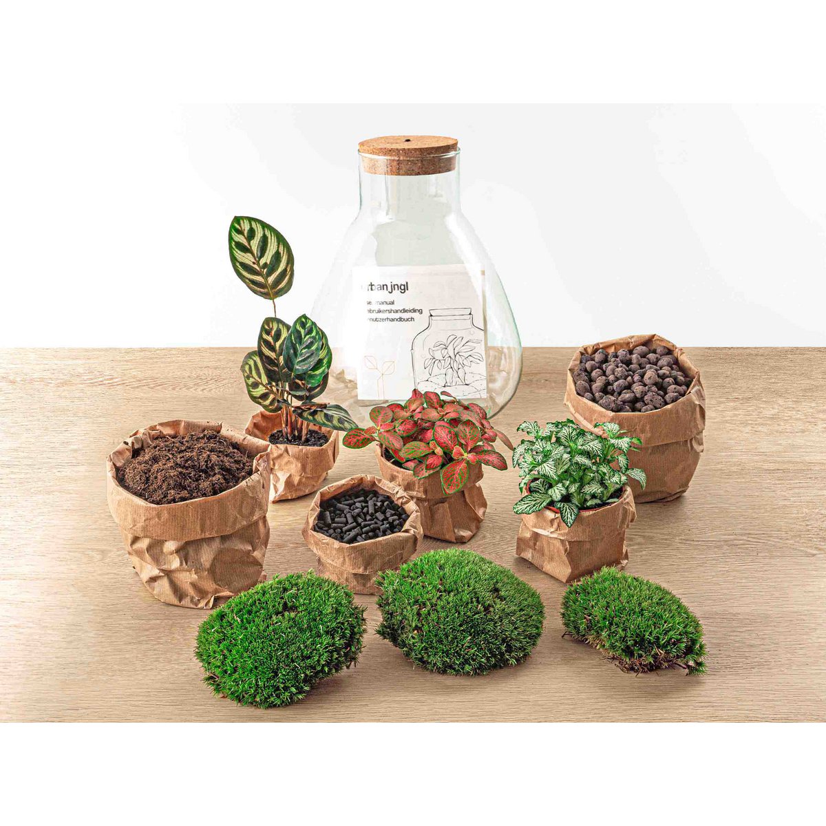 Terrarium-Bausatz – Sam Calathea mit Licht – Flaschengarten – ↑ 30 cm