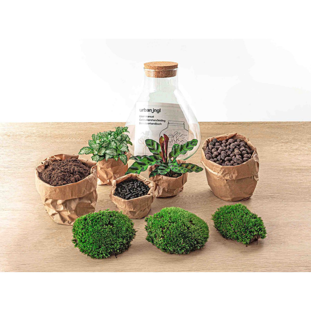 Terrarium-Bausatz – Sammie – Flaschengarten – ↑ 27 cm
