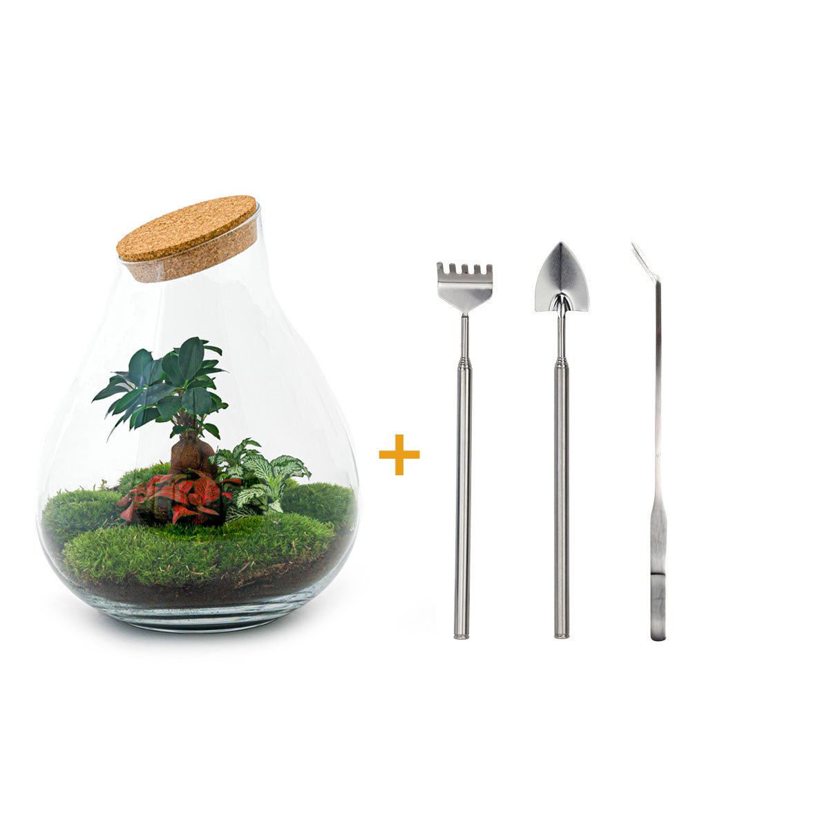 Ökosystempflanze - Drop XXL Bonsai - Pflanzenterrarium - ↑ 43 cm