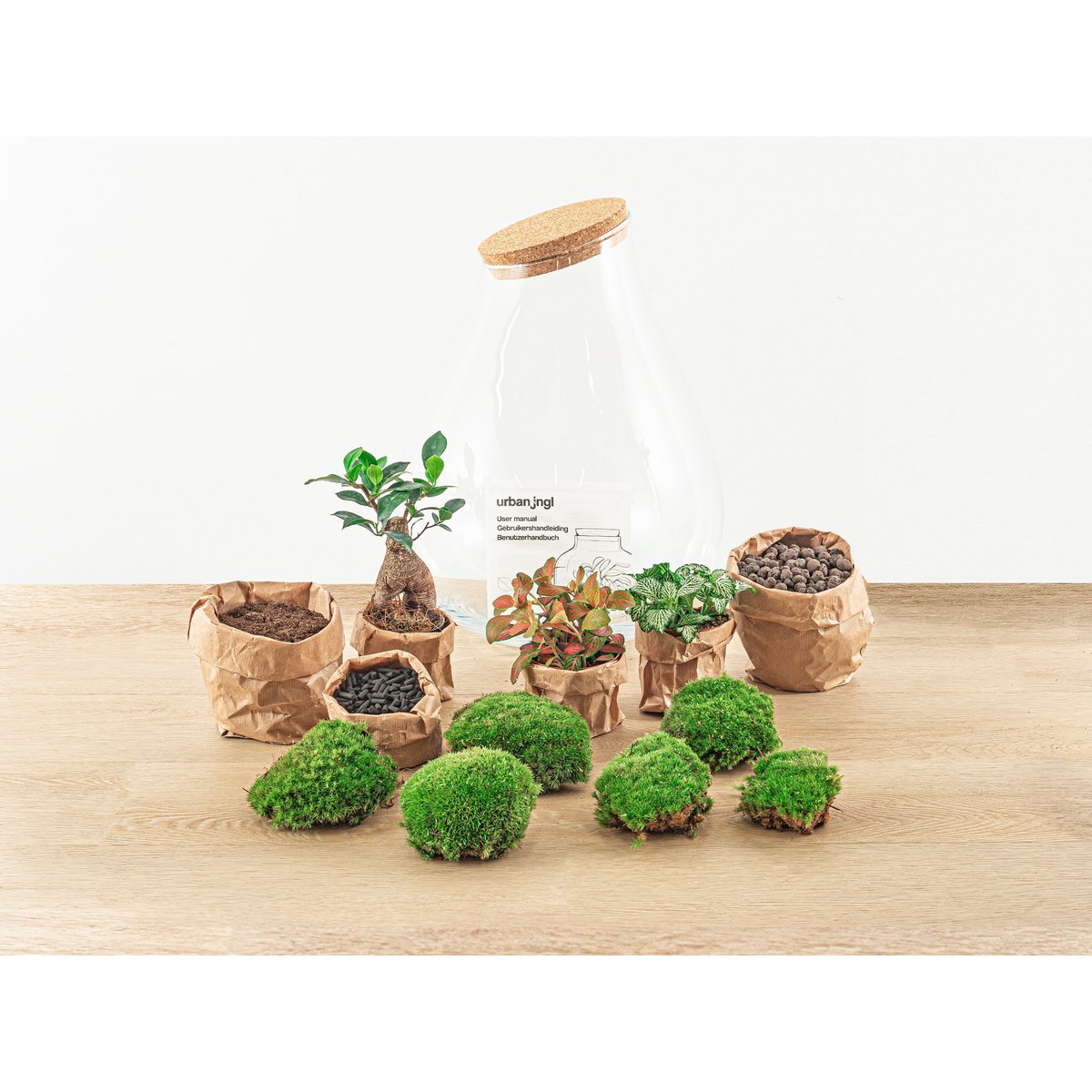 Terrarium-Bausatz – Drop XL Ficus Ginseng Bonsai – Flaschengarten – ↑ 37 cm