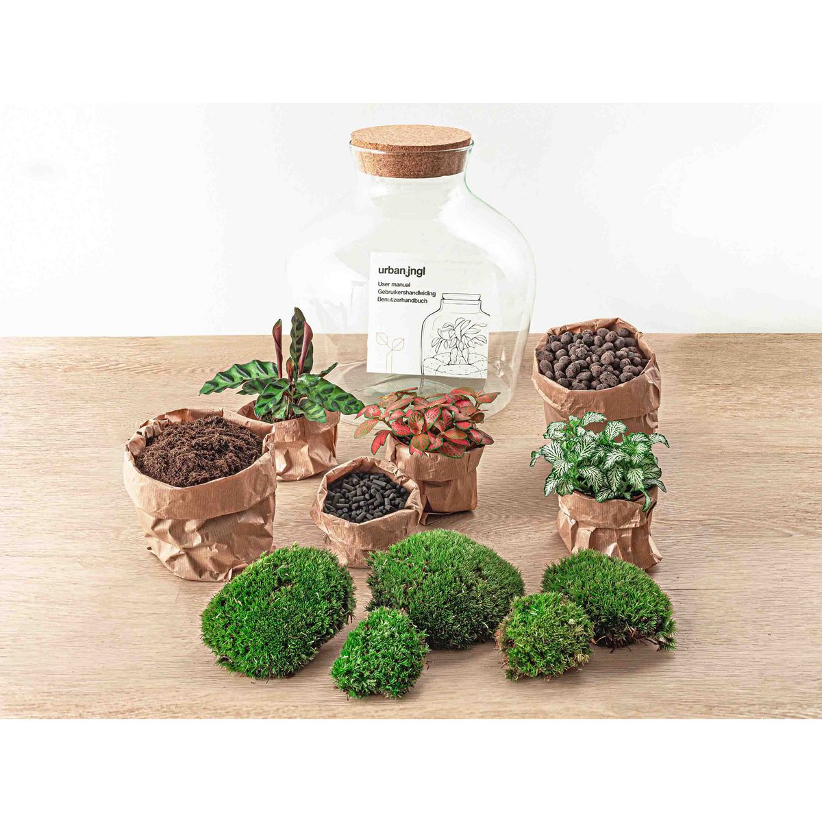 Terrarium-Bausatz – Fat Joe Red – Flaschengarten – ↑ 30 cm