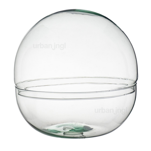Kuppel XL – Kugelglas – Glocke – geschlossenes Terrarium ↑30 cm