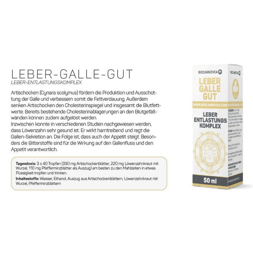 Leber Galle Gut