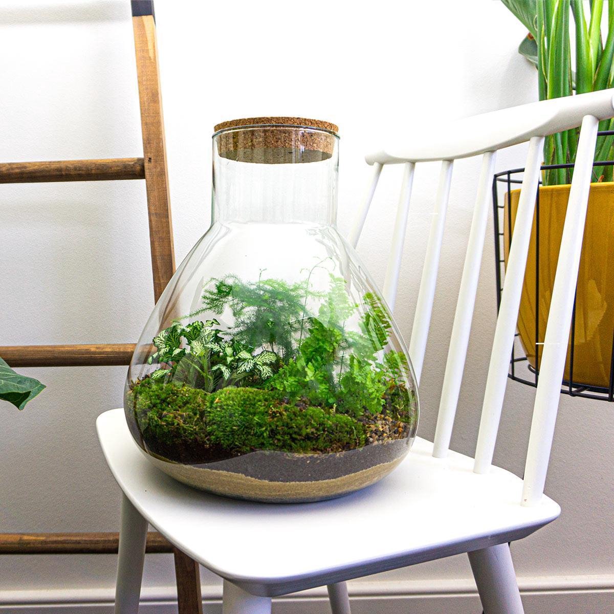 Terrarium-Bausatz – Sam XL – Flaschengarten – ↑ 35 cm