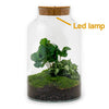 Terrarium-Bausatz – Milchiger Kaffee mit Licht – Flaschengarten – ↑ 31 cm