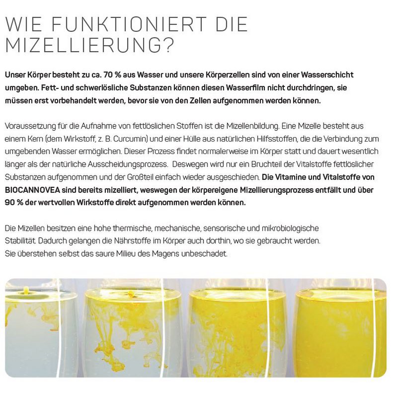 Vitamin B12 hochdosiert