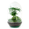 Terrarium-Bausatz – Ei XL – Flaschengarten – ↑ 30 cm