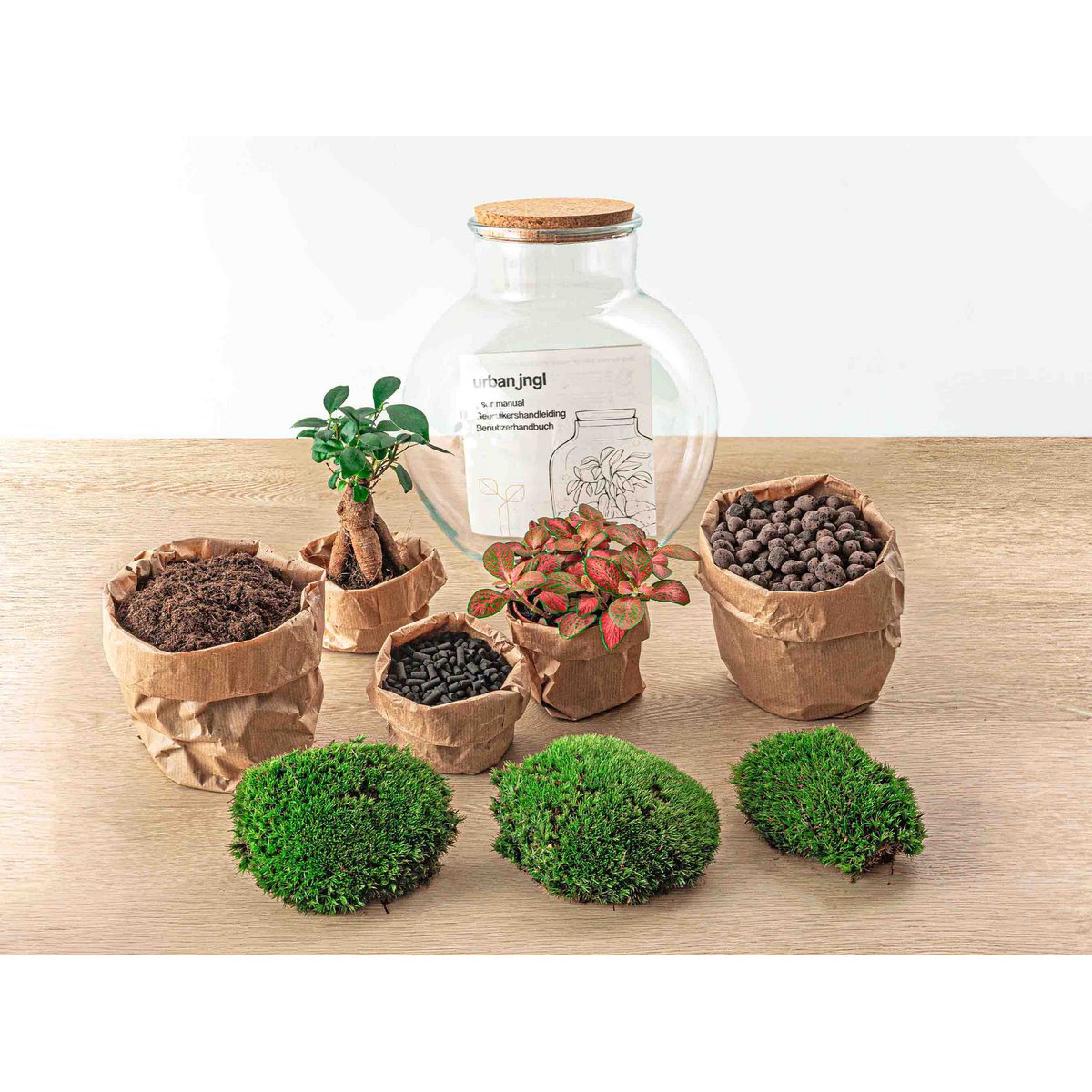 Terrarium-Bausatz – Teddy Bonsai – Flaschengarten – ↑ 26,5 cm
