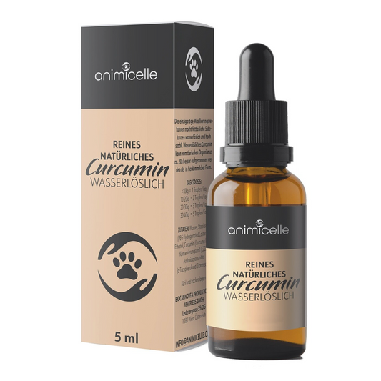 Curcumin wasserlöslich